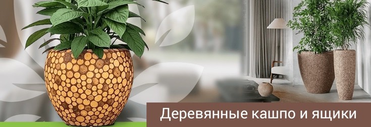 Купить кашпо для дома в интернет-магазине баштрен.рф
