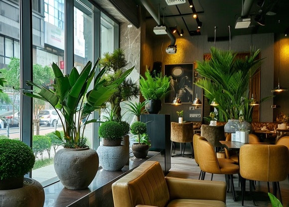 Современные варианты озеленения кафе и ресторана живыми или искусственными растениями