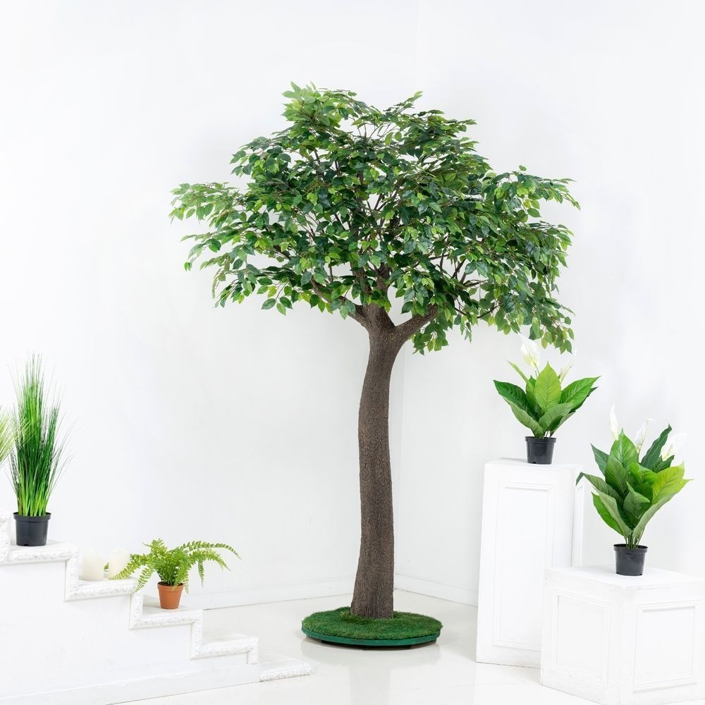 Buy trees. Фикус Бенджамина гигант. Фикус крупномер. Фикус Ретуса искусственный. Альсид искусственные.