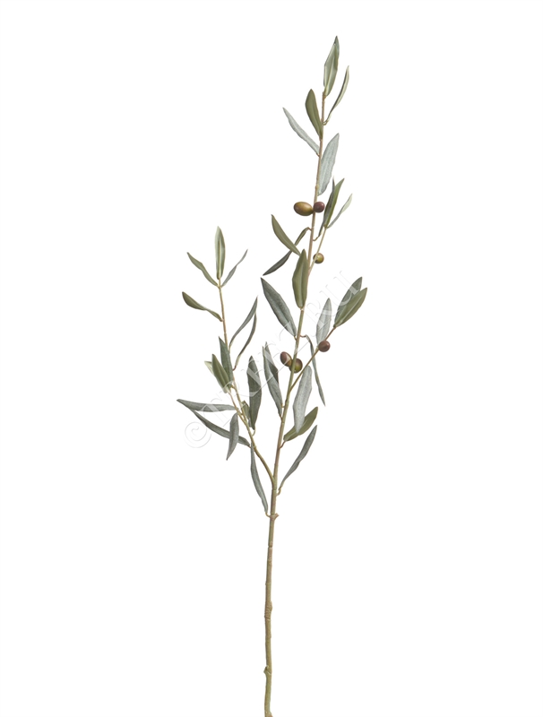 Ветвь оливы интерьерная с плодами (серия Prime) (искусственная) Treez Collection 39648 - фото 100274