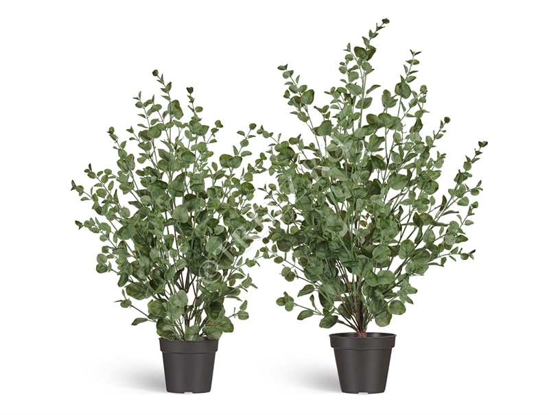 Эвкалипт куст припылённо-зелёный (искусственный) Treez Collection 39651 - фото 100277