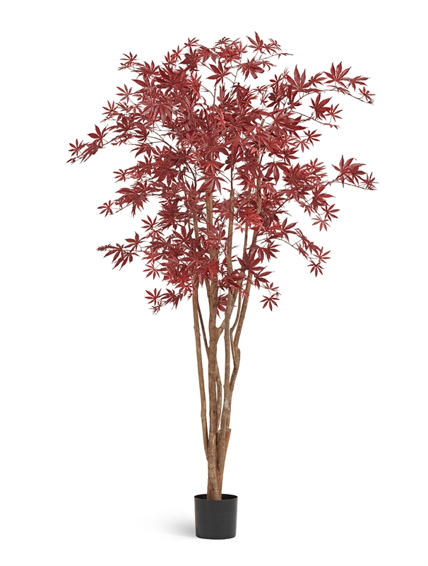 Клён японский Вайлд красный (искусственный) Treez Collection 39298 - фото 100401