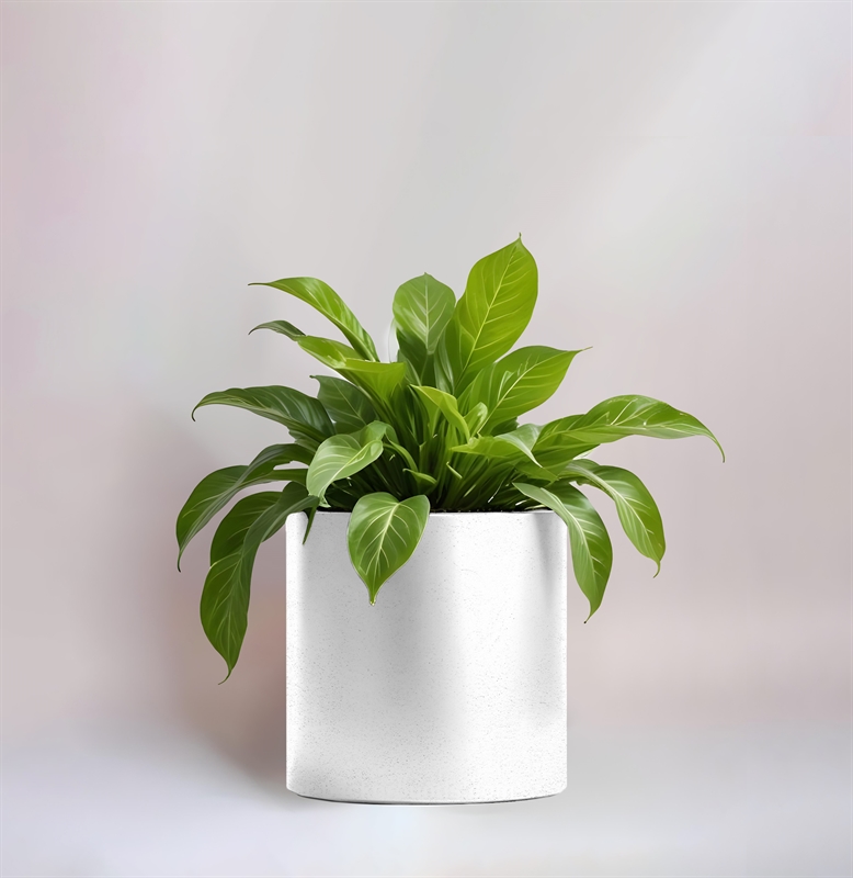 Кашпо Алми Цилиндр, 40594 40594 - фото 101243