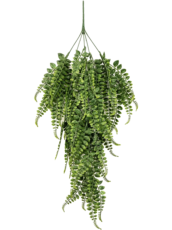 Адиантум ампельный ветка (искусственная) Nieuwkoop Europe 41371 - фото 102611