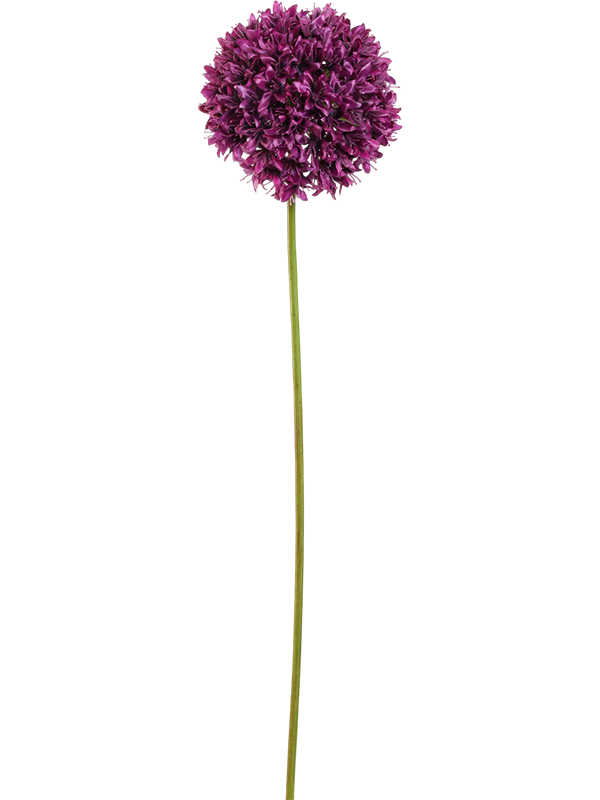 Аллиум цветок (искусственный) Nieuwkoop Europe 41376 - фото 102616