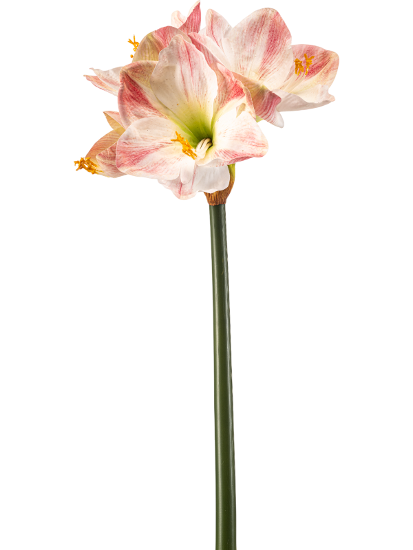 Амариллис цветок (искусственный) Nieuwkoop Europe 41379 - фото 102619