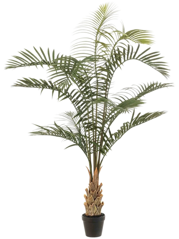 Пальма Арека (искусственная) Nieuwkoop Europe 41382 - фото 102622