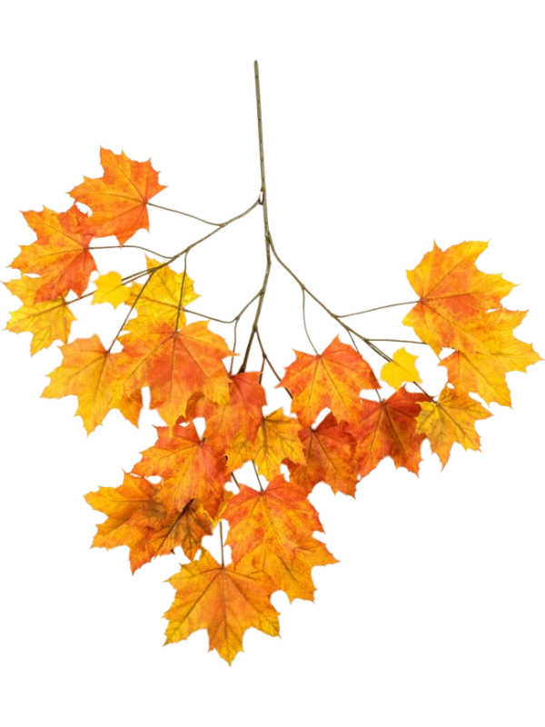 Ветка клёна осенняя (искусственная) Nieuwkoop Europe 41384 - фото 102624