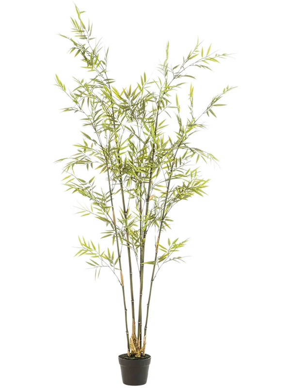 Бамбук дерево (искусственное) Nieuwkoop Europe 41386 - фото 102626
