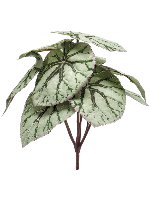 Бегония ветка серая (искусственная) Nieuwkoop Europe 41389 - фото 102629