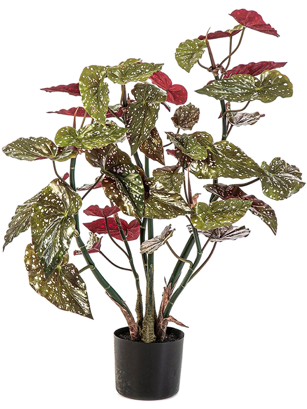 Бегония макулата (искусственная) Nieuwkoop Europe, 41391 41391 - фото 102631