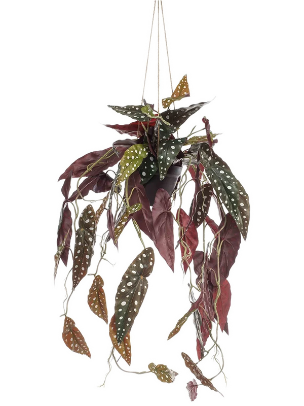 Бегония макулата ампельная в горшке (искусственная) Nieuwkoop Europe 41392 - фото 102632