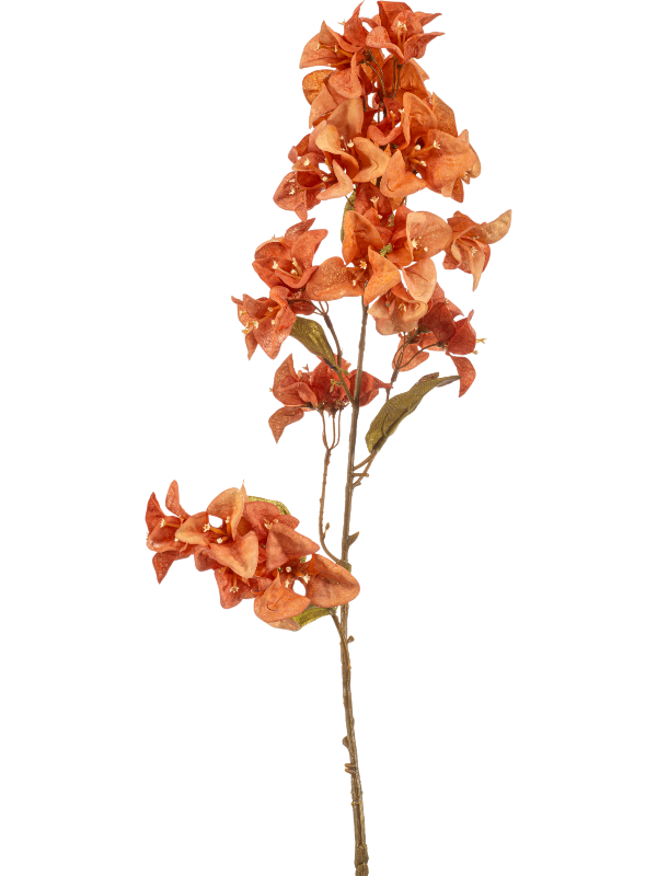 Бугенвиллея ветка оранжевая (искусственная) Nieuwkoop Europe 41399 - фото 102639