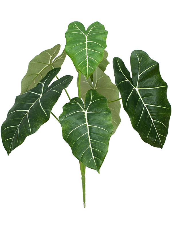 Каладиум ветка (искусственная) Nieuwkoop Europe 41411 - фото 102651