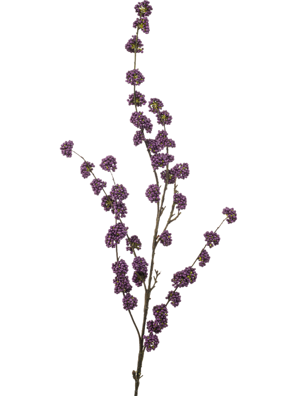 Красивоплодник фиолетовый (искусственный) Nieuwkoop Europe 41415 - фото 102655