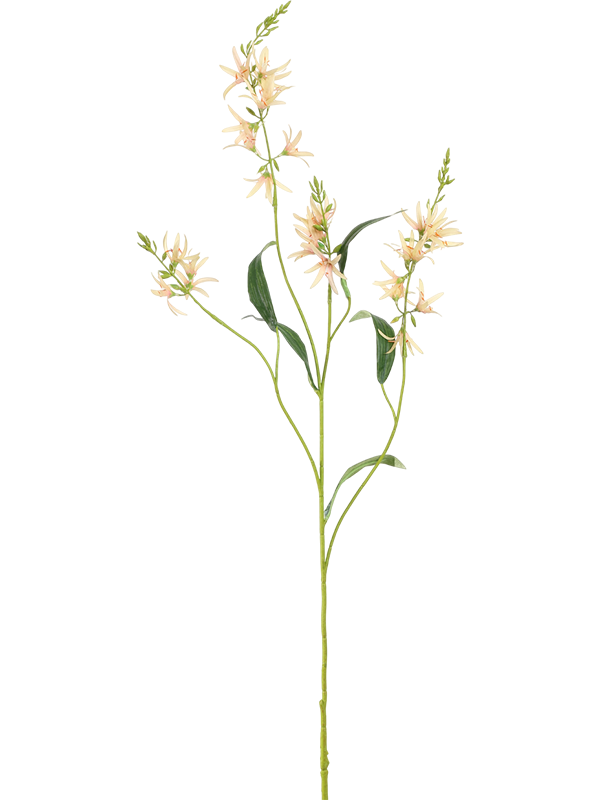 Камассия персиковая (искусственная) Nieuwkoop Europe 41416 - фото 102656