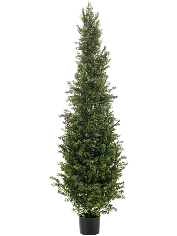 Кедр дерево (искусственное) Nieuwkoop Europe 41417 - фото 102657