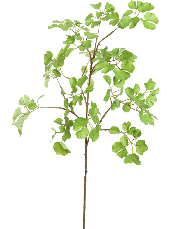 Сельдерей ветка зелёная (искусственная) Nieuwkoop Europe 41421 - фото 102661