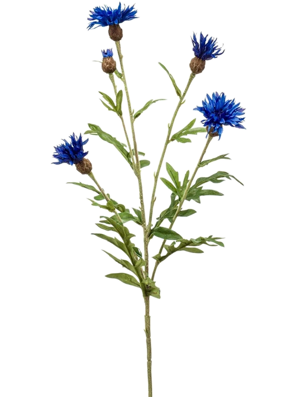 Василёк синий цветок (искусственный) Nieuwkoop Europe 41422 - фото 102662