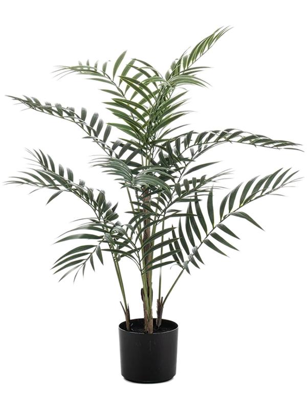 Хамедорея пальма (искусственная) Nieuwkoop Europe 41424 - фото 102664