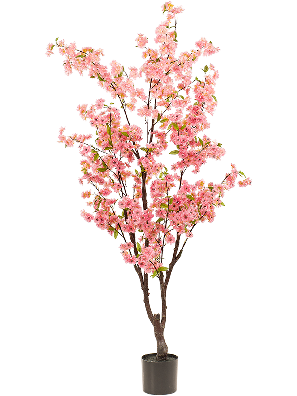 Вишня дерево розовое (искусственное) Nieuwkoop Europe 41426 - фото 102666
