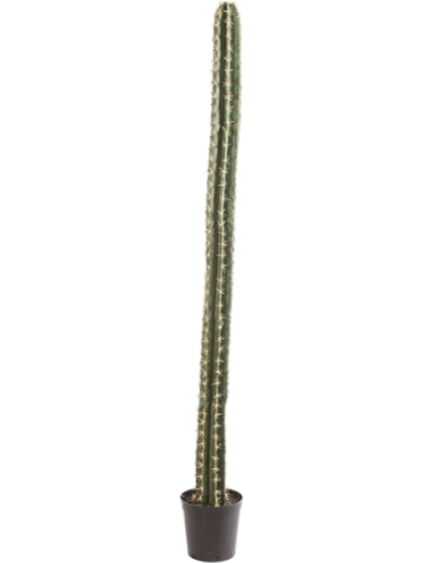 Колонновидный кактус в кашпо (искусственный) Nieuwkoop Europe, 41432 41432 - фото 102672