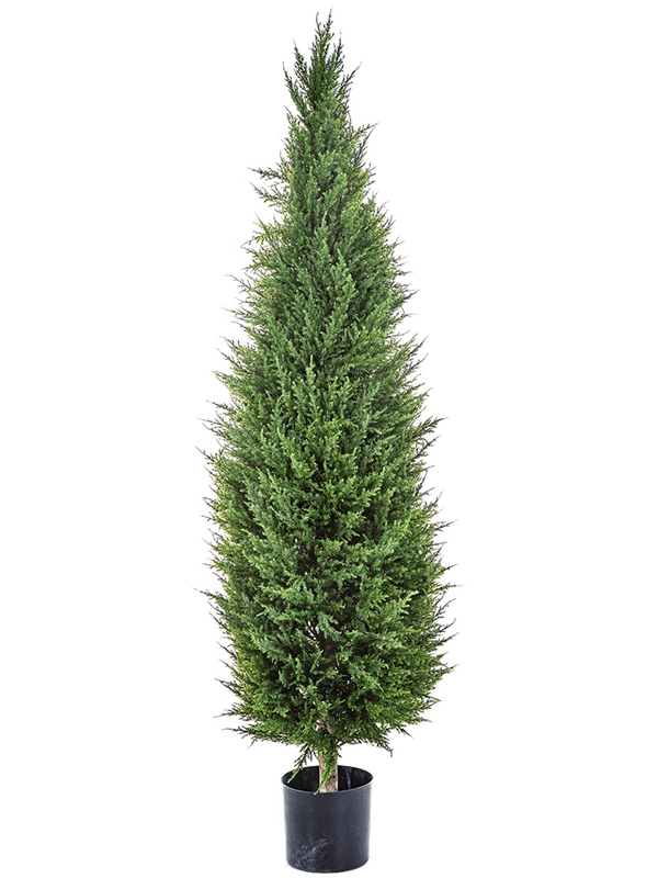 Кипарис Тауэр (150 cm) (искусственный) Nieuwkoop Europe 41434 - фото 102674