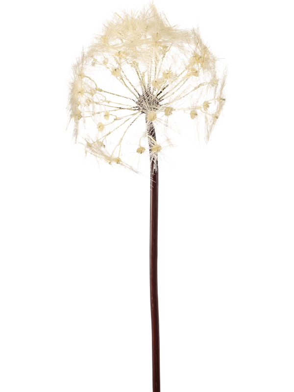 Одуванчик (искусственный) Nieuwkoop Europe 41443 - фото 102683