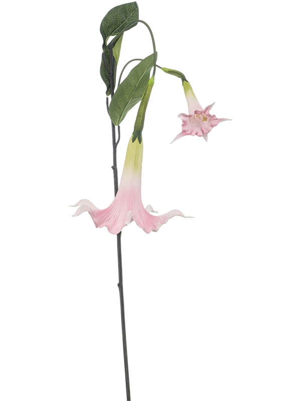 Дурман цветок розовый (искусственный) Nieuwkoop Europe 41444 - фото 102684