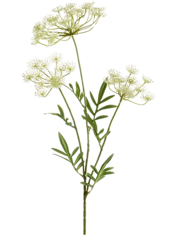 Укроп белый (искусственный) Nieuwkoop Europe 41448 - фото 102688