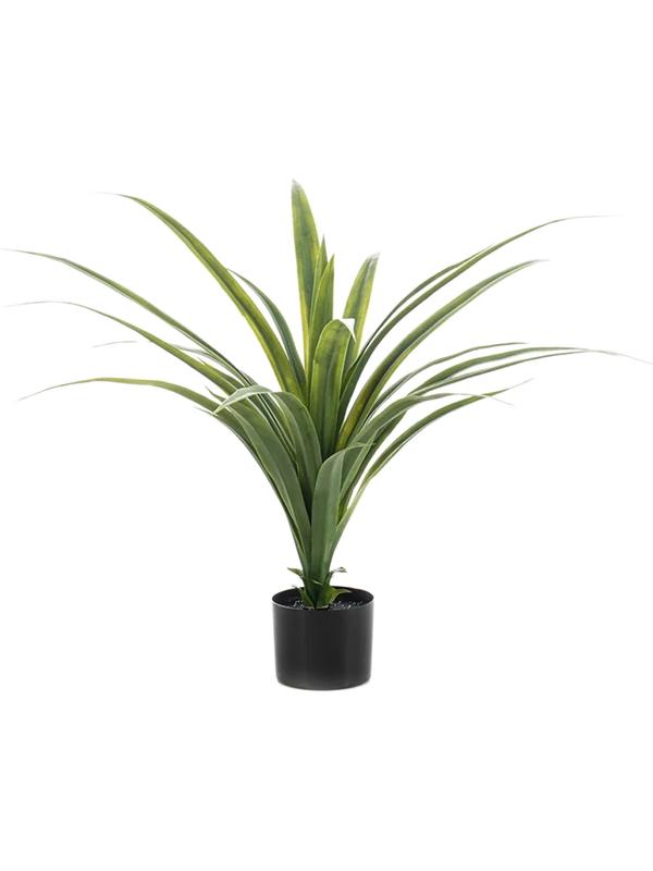 Драцена (искусственная) Nieuwkoop Europe, 41451 41451 - фото 102691