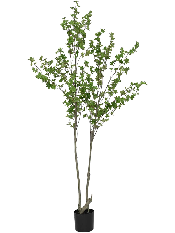 Энкиантус почкочешуйный (искусственный) Nieuwkoop Europe, 41454 41454 - фото 102694