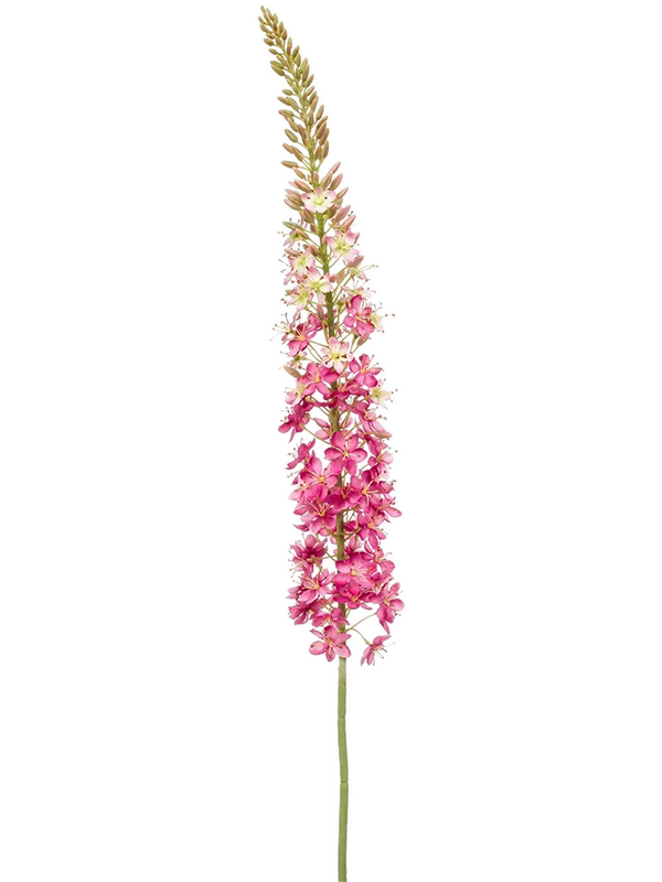 Эремурус розовый (искусственный) Nieuwkoop Europe 41456 - фото 102696