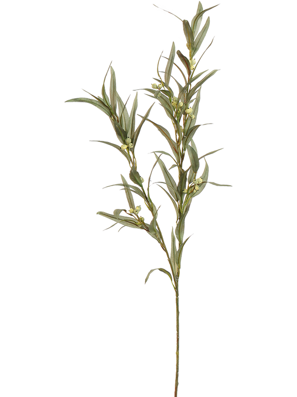 Эвкалипт ветка зелёная (искусственная) Nieuwkoop Europe 41473 - фото 102790