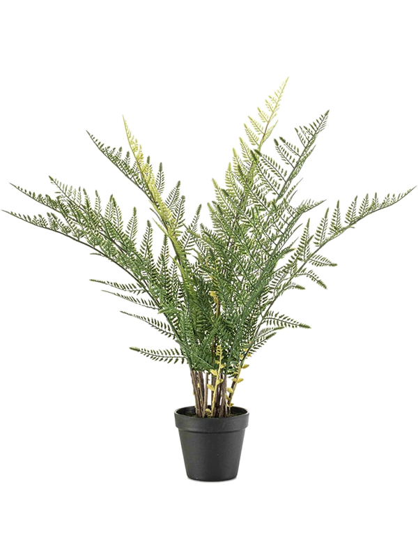 Папоротник в горшке (uv) (искусственный) Nieuwkoop Europe 41480 - фото 102797