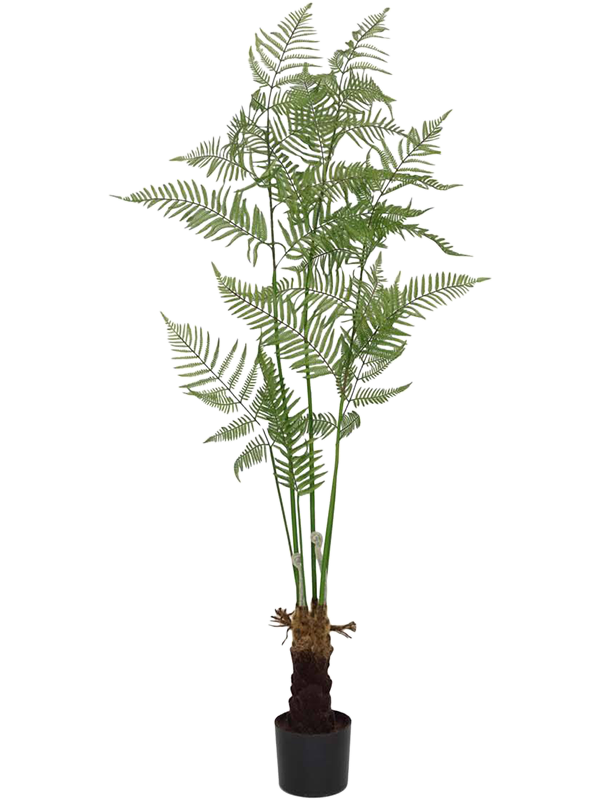 Папоротник xl (искусственноеый) Nieuwkoop Europe 41484 - фото 102801