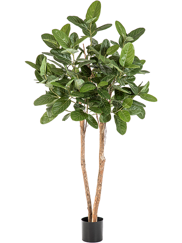 Фикус Одри (искусственный) Nieuwkoop Europe, 41487 41487 - фото 102804