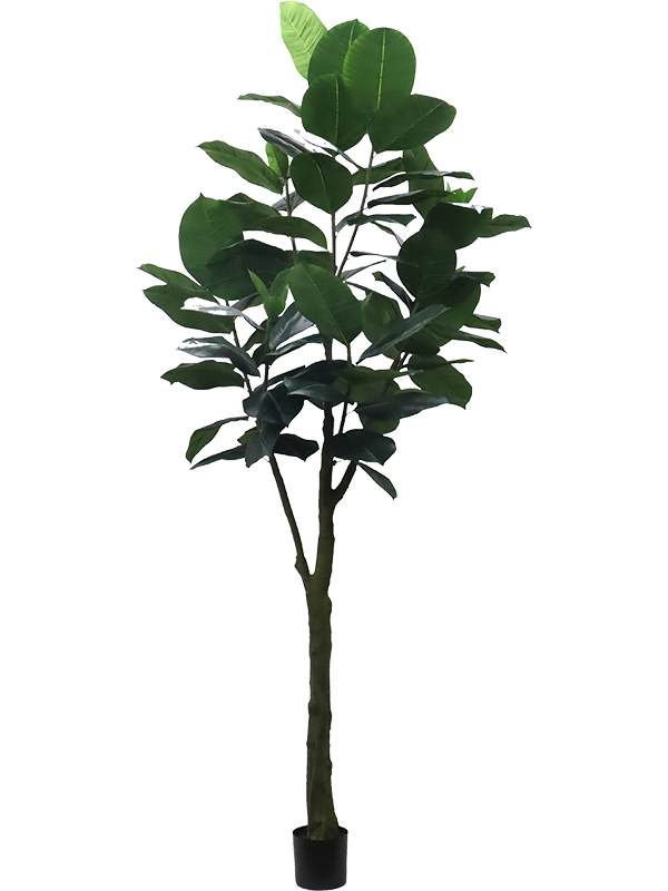 Фикус Эластика 300cm (knock down packing) (искусственный) Nieuwkoop Europe 41489 - фото 102806