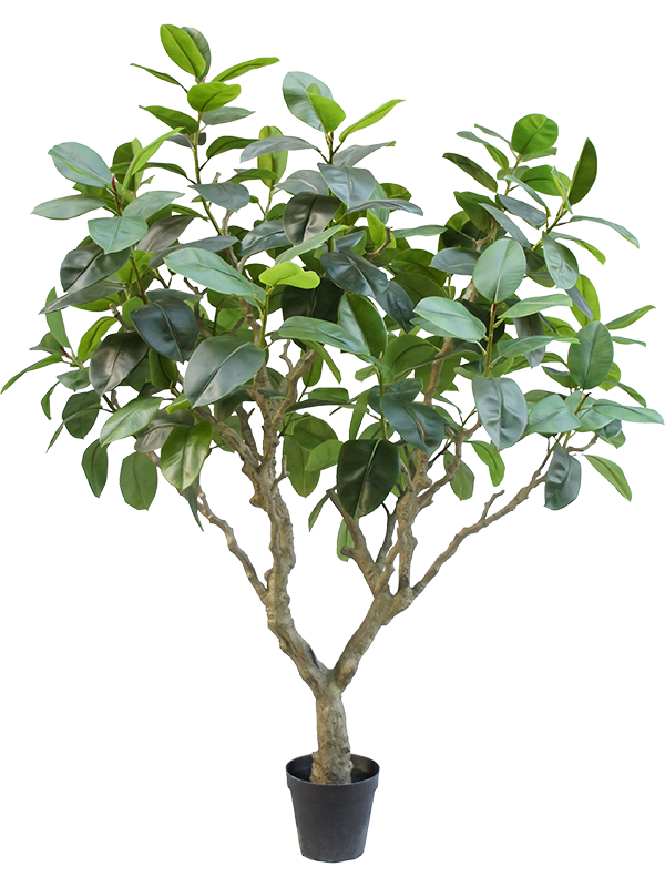 Фикус Эластика 240cm (knock down packing) (искусственный) Nieuwkoop Europe 41490 - фото 102807