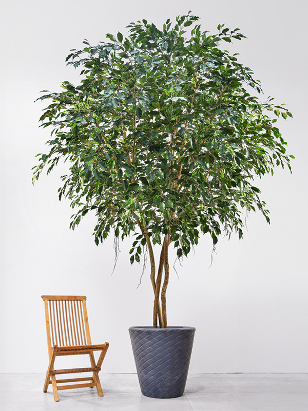 Фикус Экзотика (fr) (искусственный) Nieuwkoop Europe, 41493 41493 - фото 102810