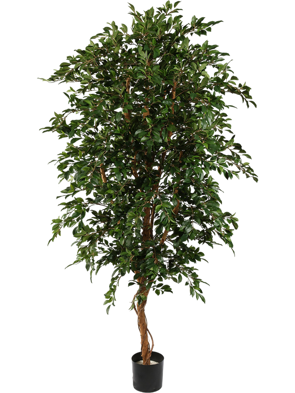 Фикус Фолиа (искусственный) Nieuwkoop Europe 41496 - фото 102813