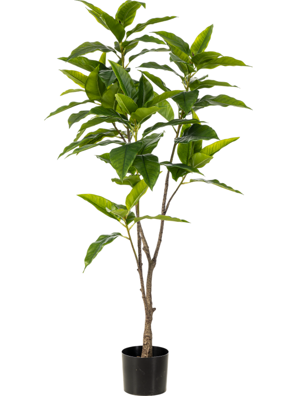 Фикус Лонгифолия (искусственный) Nieuwkoop Europe, 41497 41497 - фото 102814