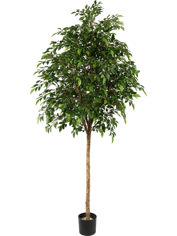 Фикус Наташа (искусственный) Nieuwkoop Europe, 41500 41500 - фото 102817