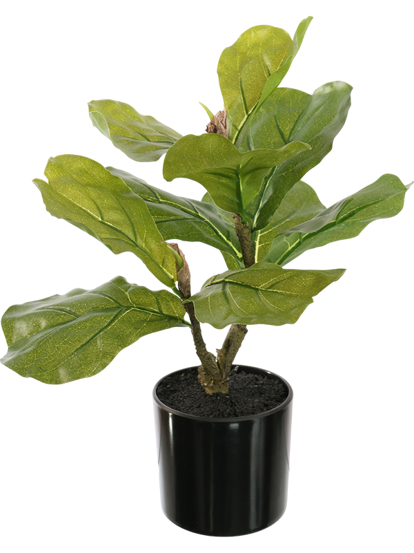 Фикус лировидный (искусственный) Nieuwkoop Europe 41504 - фото 102821