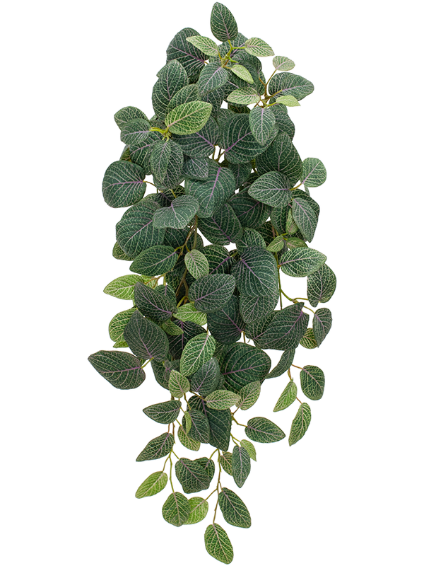 Фиттония ветка ампельная (искусственная) Nieuwkoop Europe, 41506 41506 - фото 102823