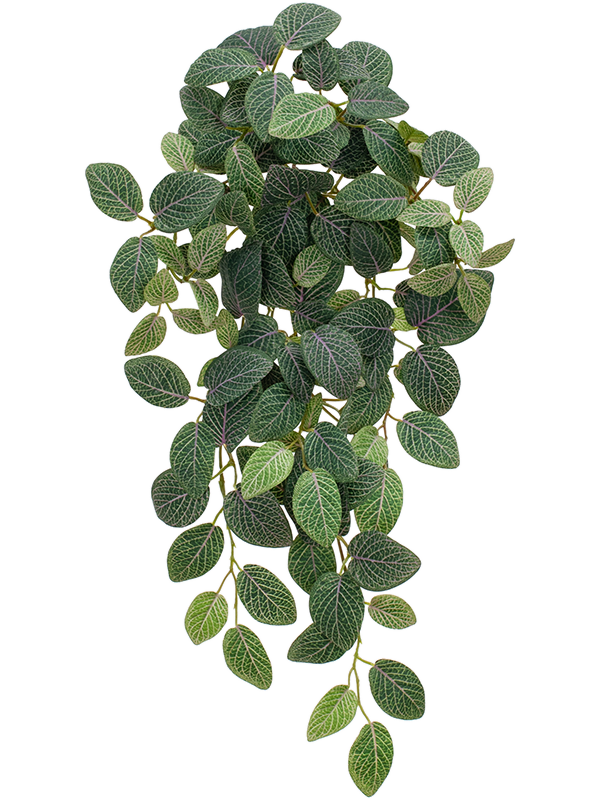 Фиттония ветка ампельная (искусственная) Nieuwkoop Europe, 41507 41507 - фото 102824
