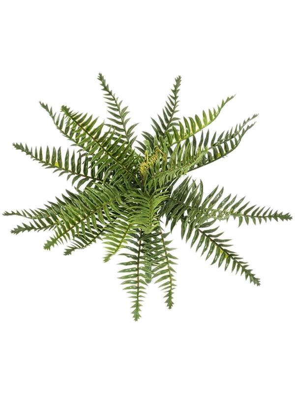 Папоротник лесной ветка (uv) (искусственная) Nieuwkoop Europe 41508 - фото 102825