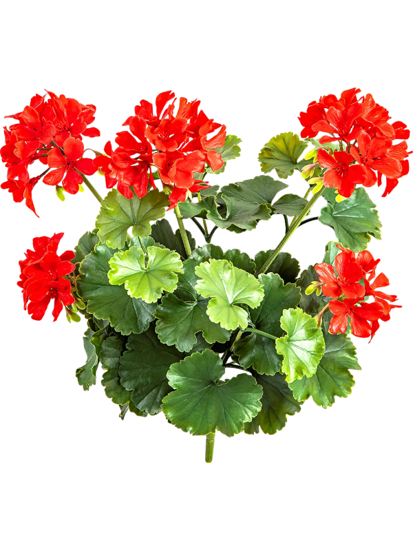 Герань куст красный (uv) (искусственный) Nieuwkoop Europe, 41510 41510 - фото 102827