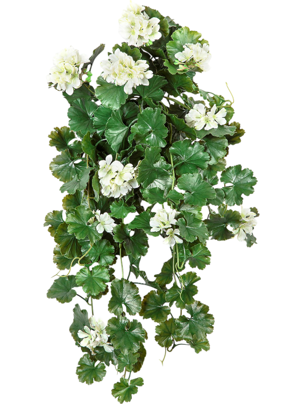 Герань куст кремовый (uv) (искусственный) Nieuwkoop Europe, 41515 41515 - фото 102832