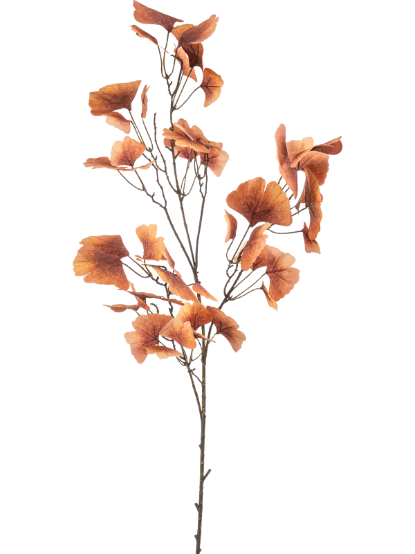 Гинкго ветка коралловая (искусственное/ая/ый) Nieuwkoop Europe 41519 - фото 102836